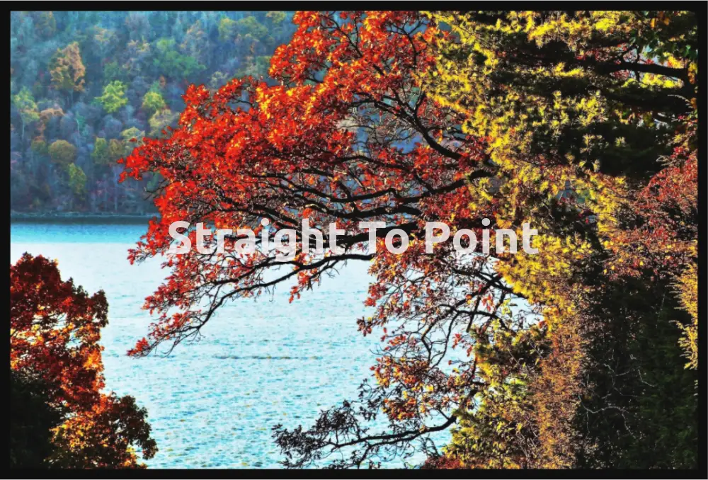 Autumn On Hudson WhiteWall App Product