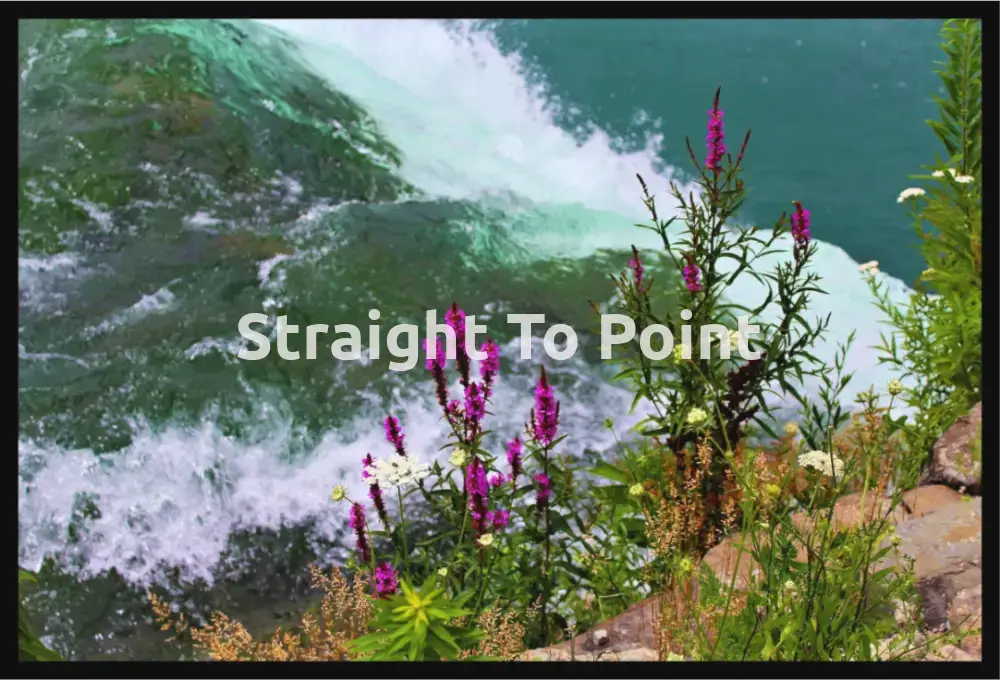 Niagara Flowers WhiteWall App Product