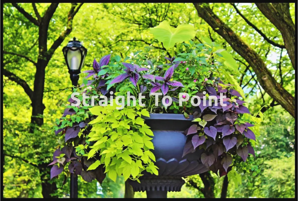 Planter With Light WhiteWall App Product